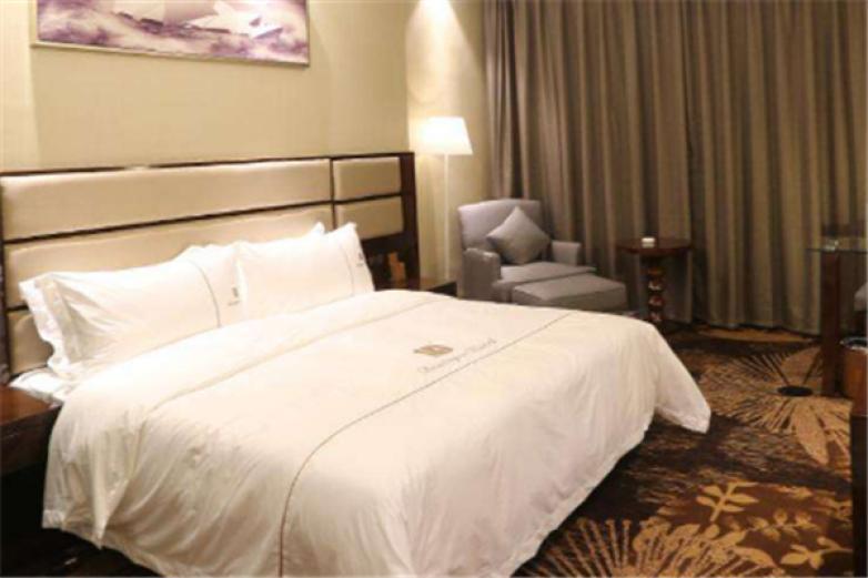 银河控主题酒店